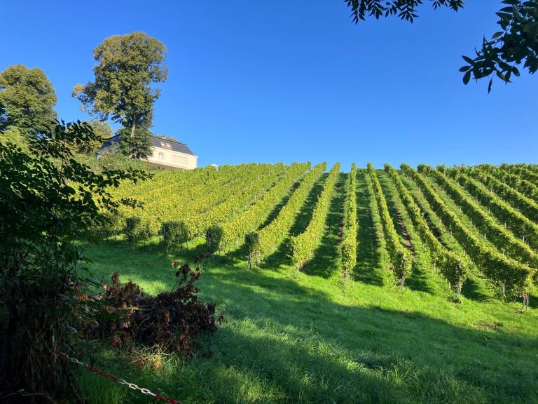 Limburg Wine Walk