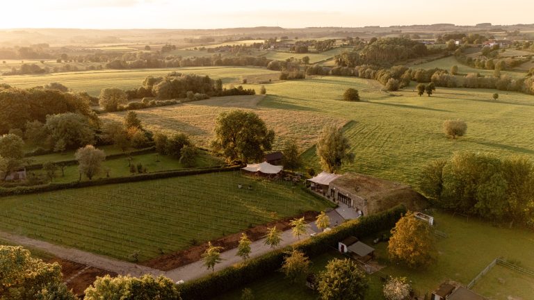 Nieuw in 2025 – de St. Martinus Wine Walk