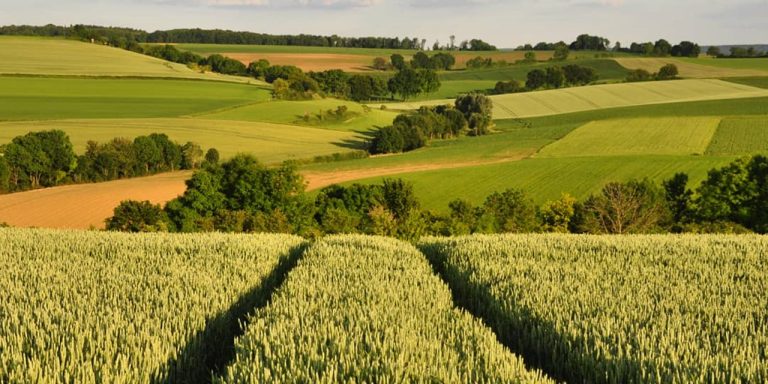 Inschrijven voor de populaire Limburg Wine Walk vanaf 1  mei