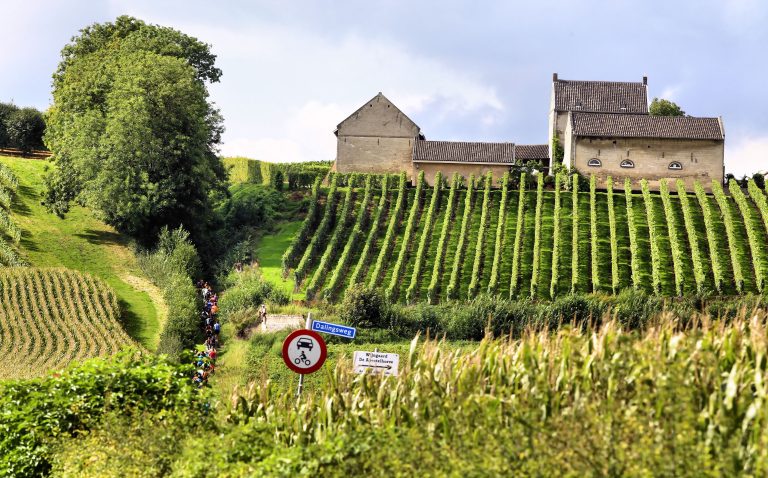 Een nieuwe wine walk in Maastricht met de Apostelhoeve