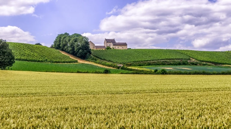 Een nieuwe wine walk in Maastricht met de Apostelhoeve